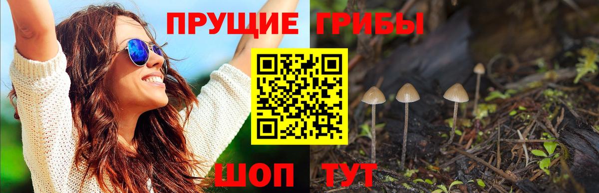Осинники  Псилоцибиновые грибы Magic Shrooms  Вход с VPN 